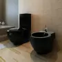 Set di Bidet e Toilette da Pavimento in Ceramica Nera