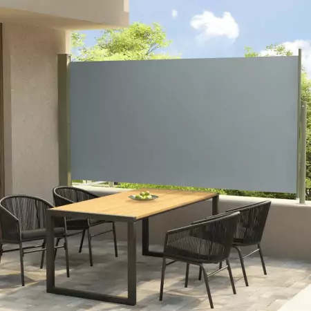 Tenda Laterale Retrattile per Patio 160x300 cm Grigia