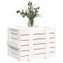 Contenitore Portaoggetti Bianco 58x40,5x42 cm Massello di Pino