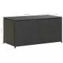 Baule da Giardino in Polyrattan 100x50x50 cm Nero