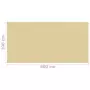 Tappeto da Tenda 300x600 cm Beige