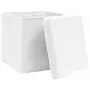 Contenitori con Coperchio 10 pz 28x28x28 cm Bianco