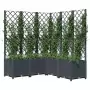 Fioriera da Giardino Graticcio Grigio Scuro 120x120x136cm PP