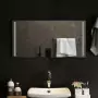 Specchio da Bagno con Luci LED 80x40 cm