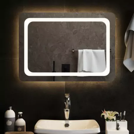 Specchio da Bagno con Luci LED 70x50 cm