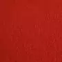 Tappeto Piatto da Esposizione 1x24 m Rosso