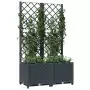 Fioriera da Giardino con Graticcio Grigio Scuro 80x40x136 cm PP