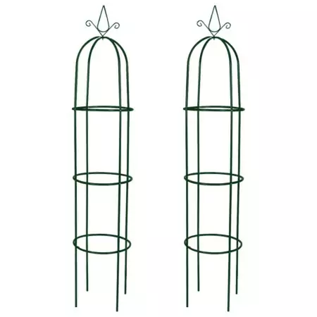 Set Torri ad Arco 2 pz per Piante Rampicanti da Giardino