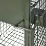 Trappola per Animali Vivi con 2 Porte