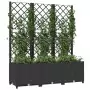 Fioriera da Giardino con Graticcio Nero 120x40x136 cm in PP