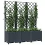 Fioriera da Giardino con Graticcio Grigio Scuro 120x40x136cm PP