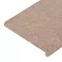 Tappetini Autoadesivi per Scale 15 pz 65x28 cm Beige