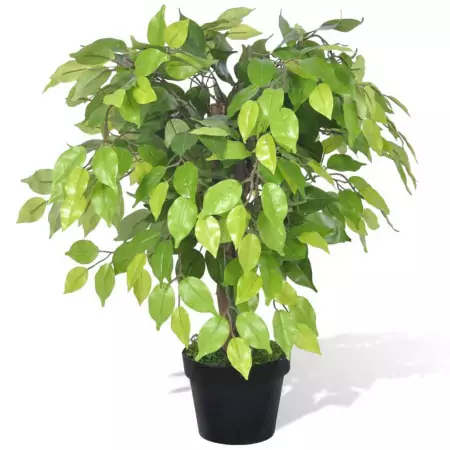 Ficus Nano Artificiale con Vaso 60 cm