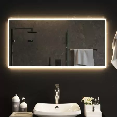 Specchio da Bagno con Luci LED 100x50 cm