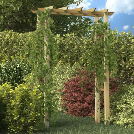 Pergola / Arco da Giardino 150x50x200 cm in Legno Impregnato