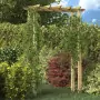 Pergola / Arco da Giardino 150x50x200 cm in Legno Impregnato