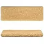 Tappetini per Scale 15 pz 65x25 cm Beige