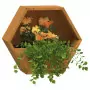 Fioriere da Parete 2 pz Grigie in Acciaio Corten 30x10x25 cm