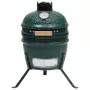 Barbecue Affumicatore 2 in 1 Kamado in Ceramica 56 cm Verde