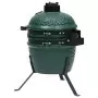 Barbecue Affumicatore 2 in 1 Kamado in Ceramica 56 cm Verde